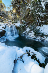 Snowed waterfall landscape 