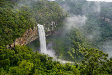 Beautiful Waterfall among Lush Dense Greenery. Aerial View