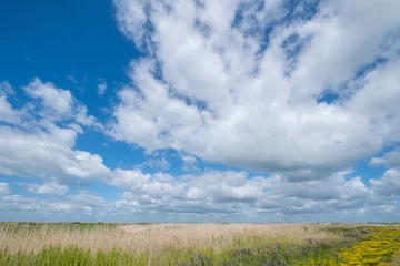 Foto auf Leinwand Marker Wadden © Holland-PhotostockNL