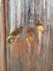 texture of an old wooden board with knots and a nail head faded in the sun