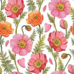 Seamless pattern with colorful watercolor poppies. Floral print with poppies on a white background.