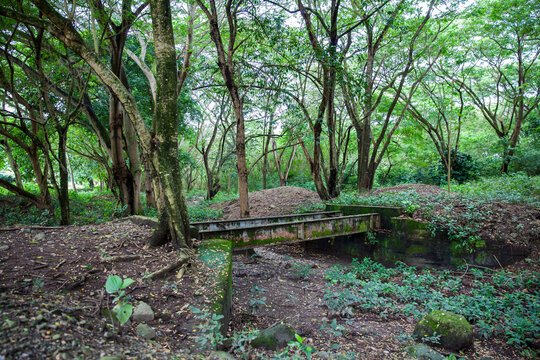 Abandoned Bridge Over Which The Train Tracks Passed Before The Armero Tragedy In 1985