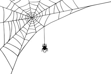 Linear sketch of a corner web with a spider.Vector graphics.