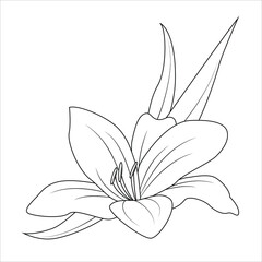 Lily flower for logo. Fashionable botanical elements. A hand-drawn line leaves branches and blooms. Wedding flower for the invitation save the card with the date. Vector.