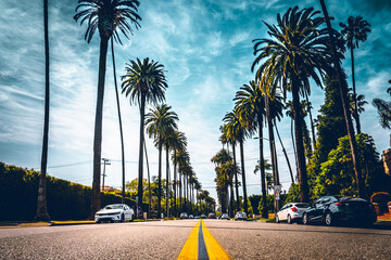 Palm trees on road. Beverly Hills, California.