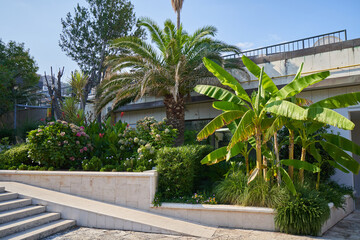 Fototapeta na wymiar Urban garden with flowers, palm and banana tree