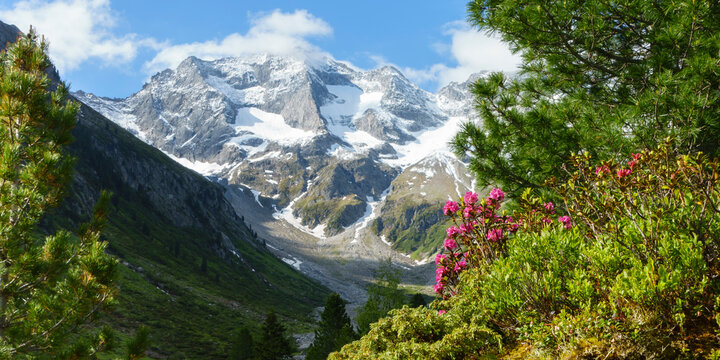 Panoramabild einer herrlichen Berglandschaft mit Gletscher und Almrausch in den &ouml;sterreichischen Alpen