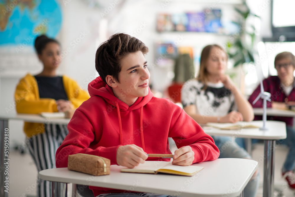 Wall mural Students paying attention in class, sitting in their school desks.