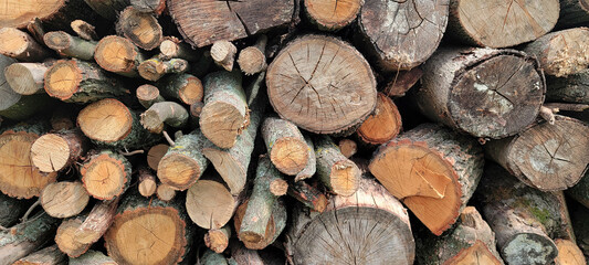 Firewood for the winter, stacks of firewood, pile of firewood.