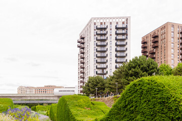 Waves of hedges, Thames Barrier Park, Silvertown, Newham, London,  England, June 19, 2022