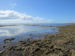 de olho no mundo - Brasil