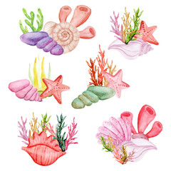 watercolor set of summer sea creatures