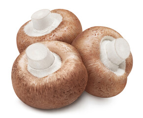 Delicious mushrooms, isolated on white background