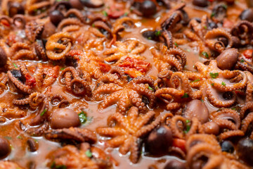 Octopuses are cooked with tomato, olives.Octopus Guazzetto,octopus Luciana ,moscardini in umido,...