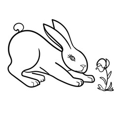 Rabbit Vector On White Background , Use for Web, line , icon or logo, cartoon bunny. hare pose with plants