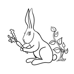 Rabbit Vector On White Background , Use for Web, line , icon or logo, cartoon black bunny. hare pose with plants
