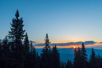 Tableaux ronds sur aluminium brossé Forêt dans le brouillard Silhouettes of fir trees in the mountainous valley of the Rhodope Mountains against the background of a sunset sky