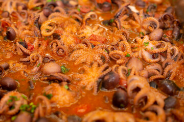 Stewed octopus with tomatoes ,typical Italian recipe  called  moscardini in umido,octopus guazzetto,octopus Luciana style.
