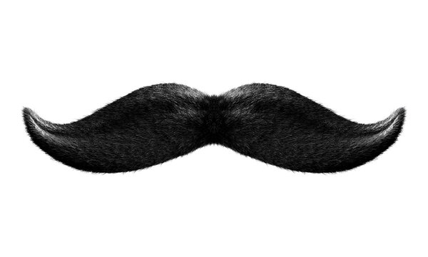 Bigode preto masculino 3d