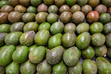 fresh avocado arranged in store for sale