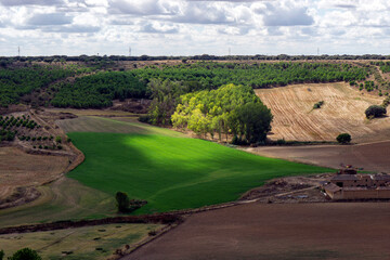 Fototapeta na wymiar paisaje rural en la provincia de Valladolid; Zona con sol y sombra. Castilla y León, España.