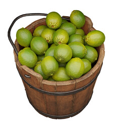 limes, wooden bucket filled with juicy citrus fruits isolated on white background