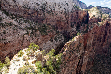 Outdoor Nature Landscape Shot of Zion National Park Mountains and Canyons in Summer in Utah from Canon T7 Rebel 