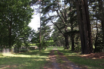 Fototapeta premium Tallong Country at Southern Highlands, NSW Australia, Landscape photography