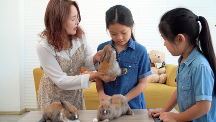 Asian two siblings and parenthood smiling playful three tiny fluffy baby rabbits together on table...