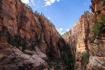 Outdoor Nature Landscape Shot of Zion National Park Mountains and Canyons in Summer in Utah from Canon T7 Rebel 