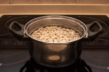 Navy beans soaked in water in a stainless steel pot. On top of a ceramic hob in a kitchen. Ingredients for cooking.