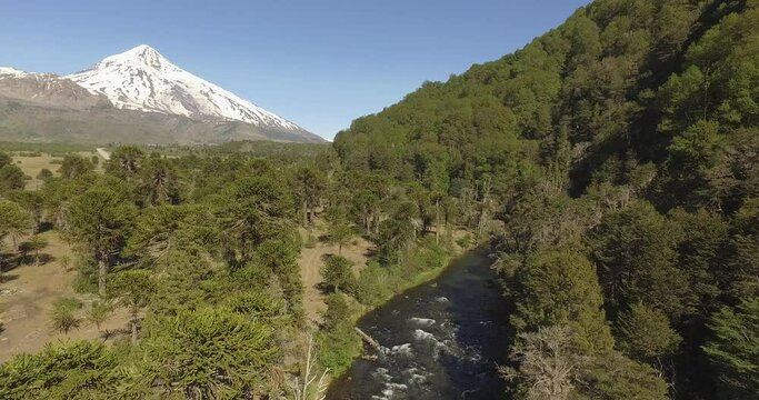 Lanin