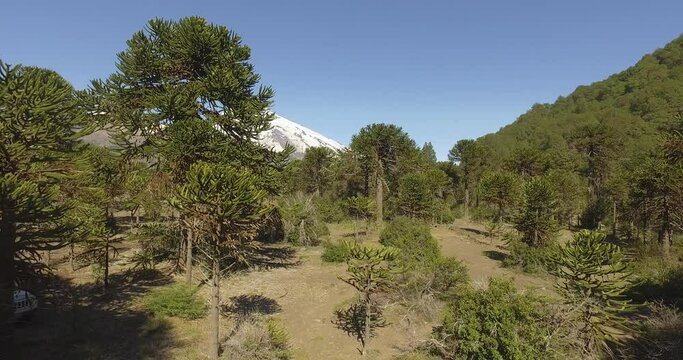 Lanin