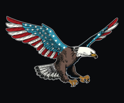 American bald eagle with usa flags