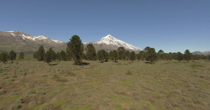 Lanin