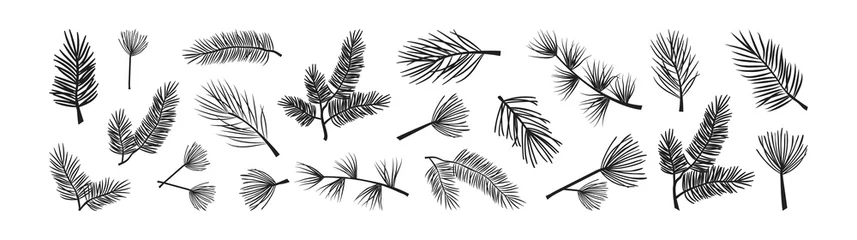 Fotobehang Christmas spruse and pine, xmas fir branch vector icon, evergreen tree, cedar twig, winter plant, New Year wood, holiday decoration, black silhouettes isolated on white background. Nature illustration © Sylfida
