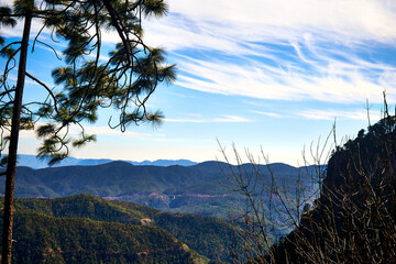 landscape with mountains and blue sky with clouds, forest with pine trees in sierra madre...