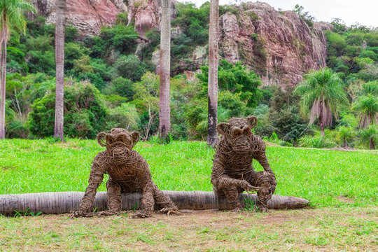 Tobati, Paraguay - May 09, 2022: Creating life size African animals with the Ysypo is a true work of art and Diego Esquivel crafts it in Tobati. "Ysypo" are woody climbing plants.