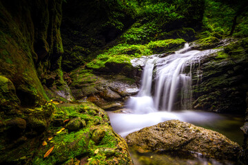 Waterfall in a peaceful green forest