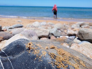 child on the beach