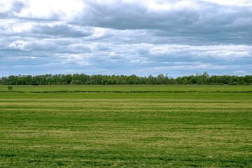 Spring view of a wisconsin field © Nealj121