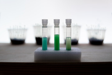 samples of liquid fertilizer, nutrient for plants, organic vegetable gardens, vegetables from natural agriculture.
