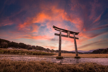 Torii gate at sunset Japan Kyushu