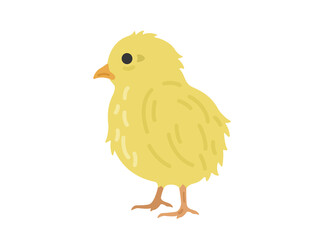 ひよこのイラスト