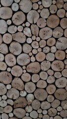 Mur de rondin de bois