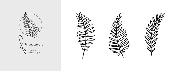 Organic fern illustration and badges logo template. Set of Minimalist stamp labels for tag with isolated fern leaves. Collection of hand drawn natural sign for simple rustic design.  - obrazy, fototapety, plakaty