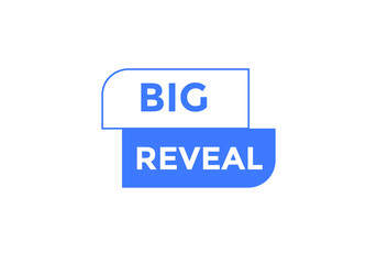 big reveal Colorful web banner. big reveal text symbol. 
