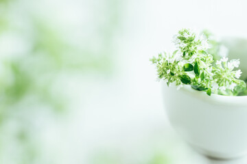 ハーブ　植物　背景　ナチュラル © shironagasukujira