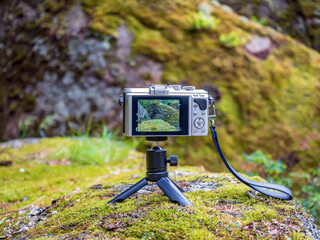 Fototapete bei efototapeten.de bestellen   