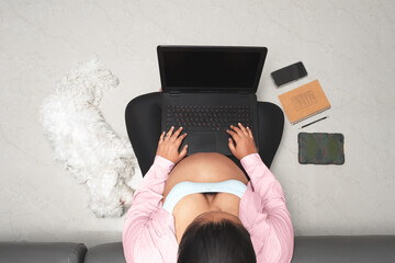 Concept business, pregnant woman sitting on floor with laptop working at home, dog sleeping, top view